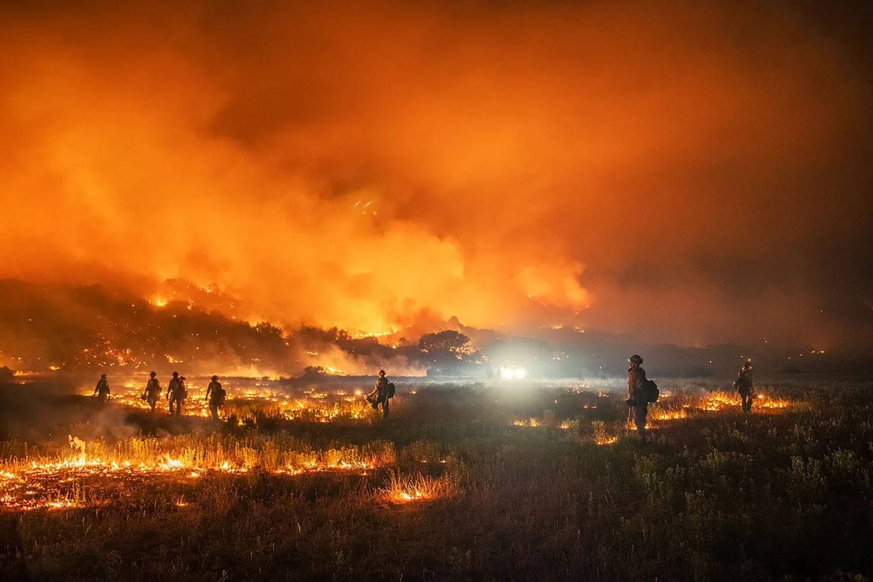 2025 California Wildfires: A Growing Crisis