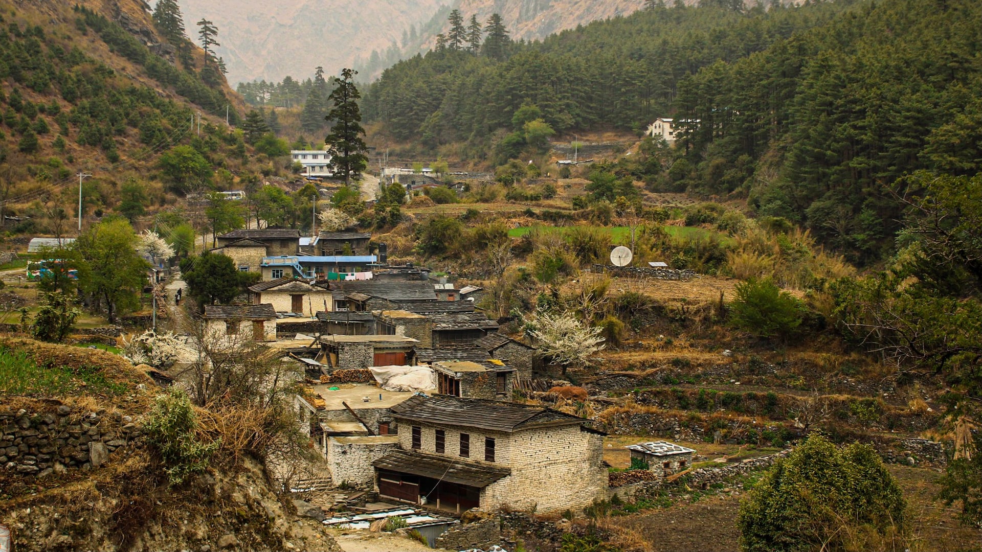 A hillside village with homes surrounded by terraced fields and mountain slopes