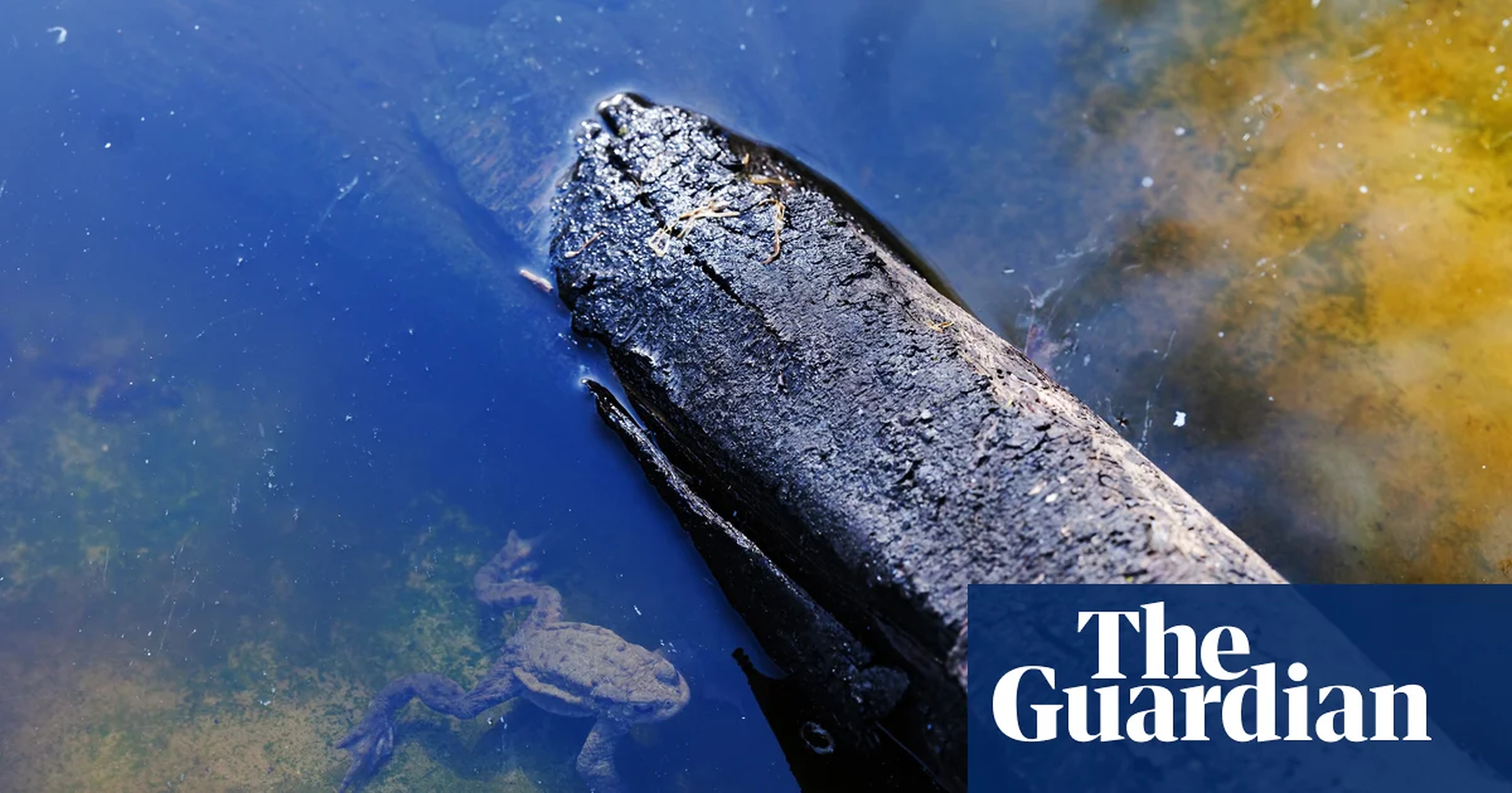 Global Health and Education Watch: ‘It has changed my life’: How a dose of