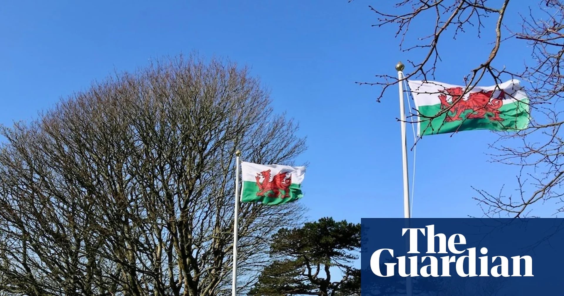 Global Health and Education Watch: ‘A fire that’s burning again’: Welsh language resurges thanks