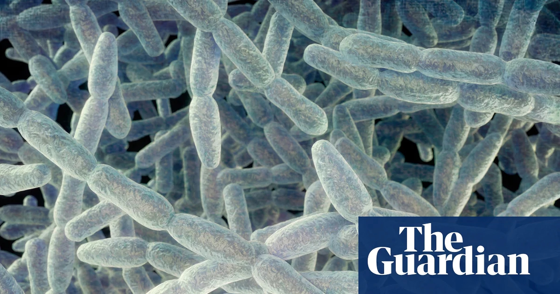Global Health and Education Watch: Fifth person dies in New York City amid legionnaires’