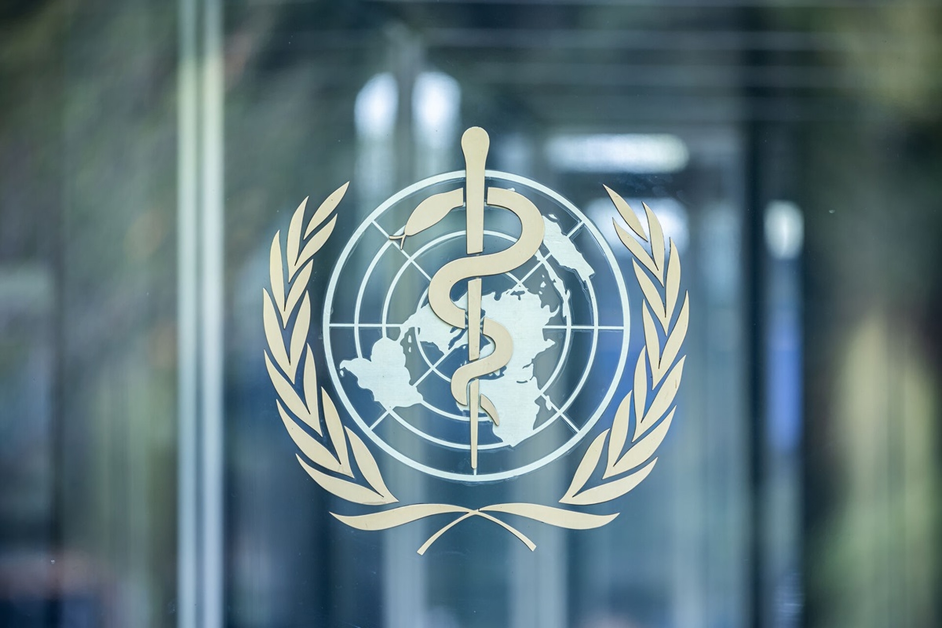 Global Health and Education Watch: WHO statement on notification of withdrawal of the United