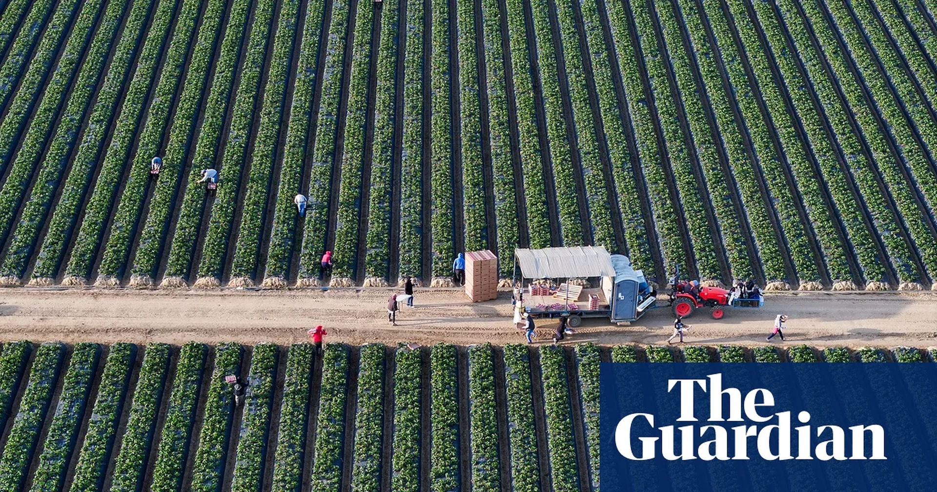 Global Health and Education Watch: California bans paraquat, highly toxic herbicide outlawed in more