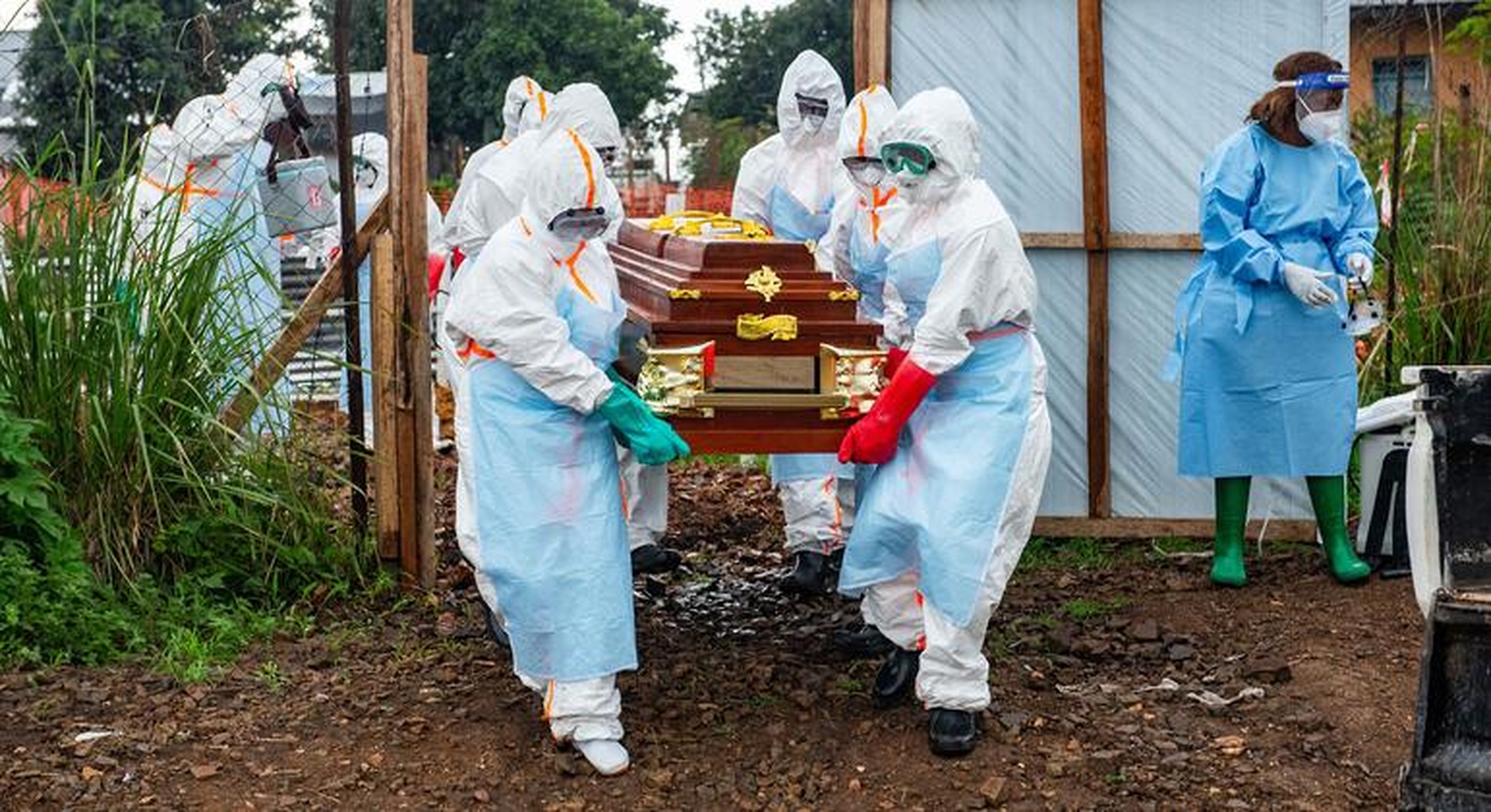 Global Health and Education Watch: ‘Ebola is winning’: Epidemic now killing one person every