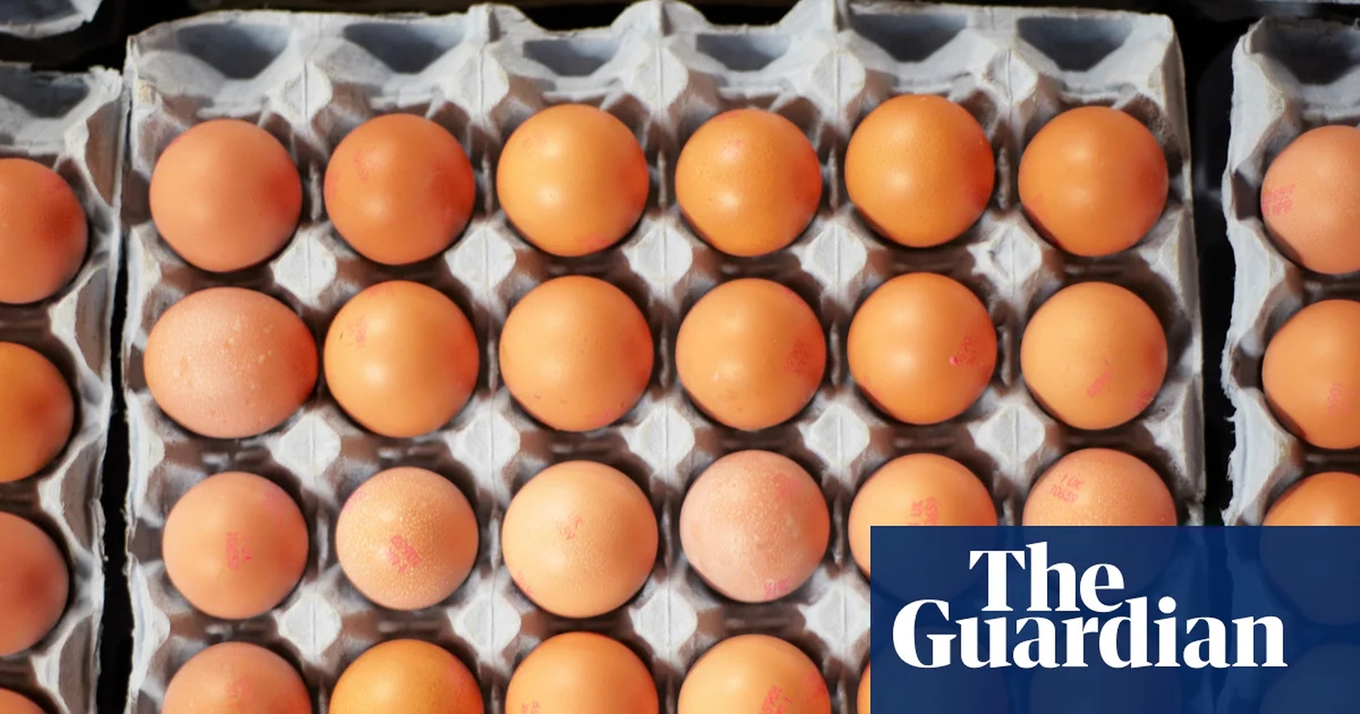 Global Health and Education Watch: What is salmonella, how does it spread and are