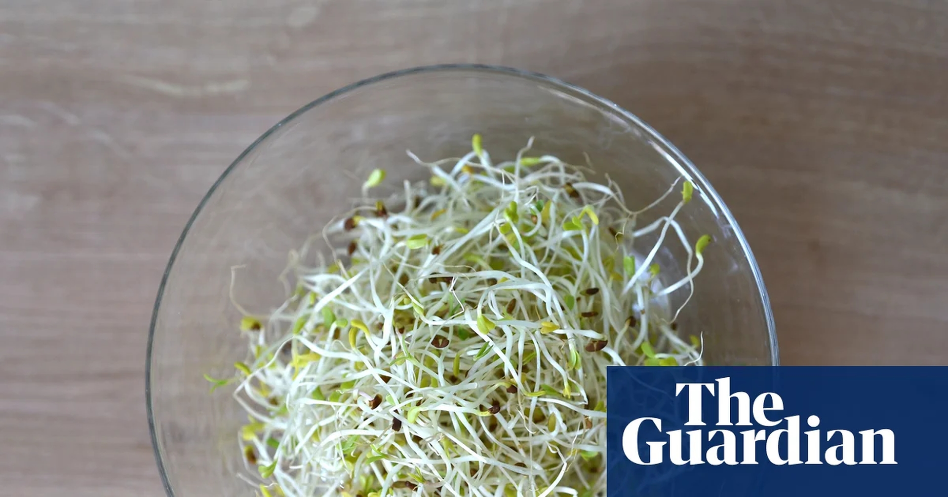 Global Health and Education Watch: Alfalfa sprouts linked to food-poisoning outbreak in 15 states