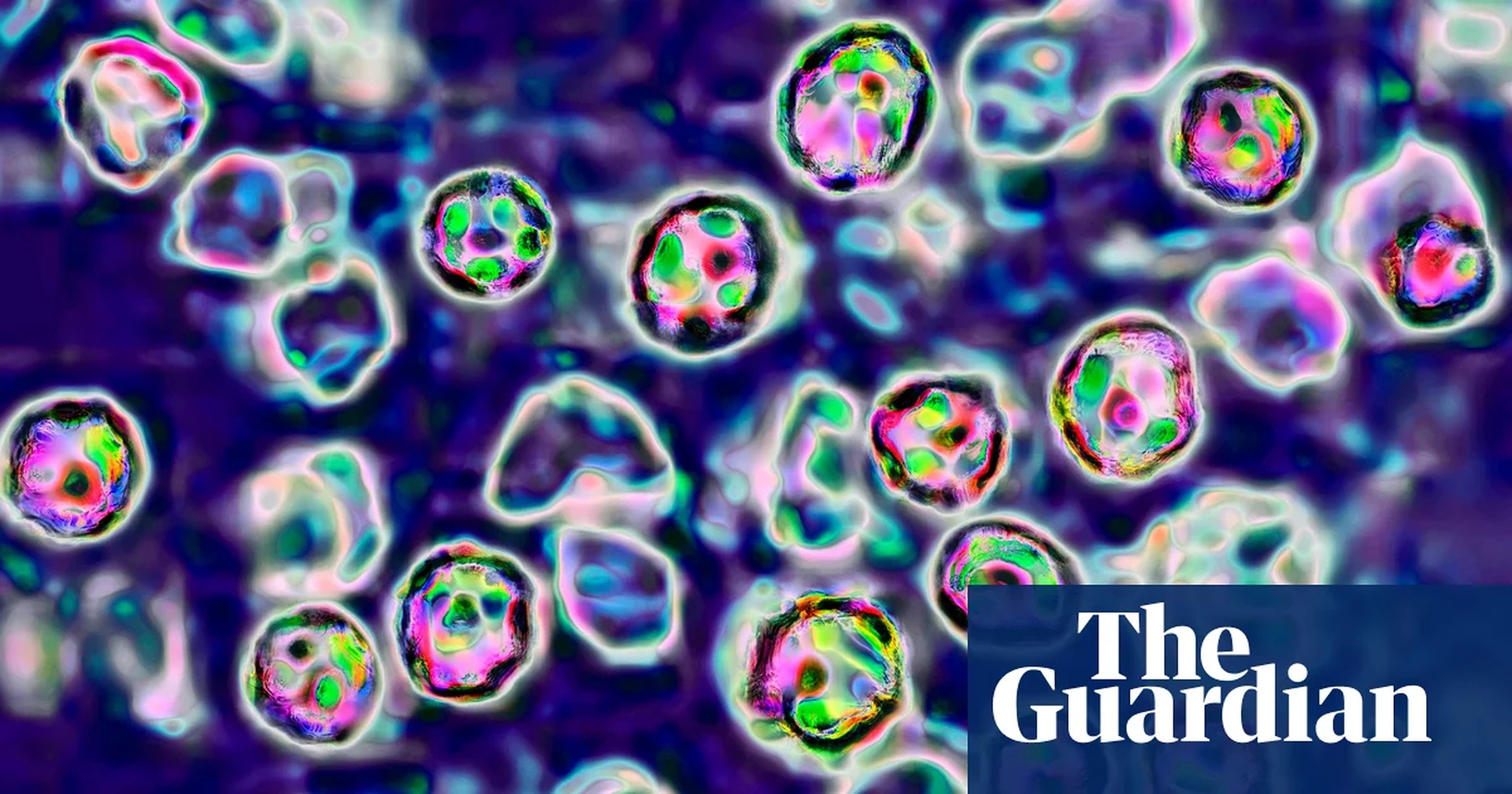 Global Health and Education Watch: Two unvaccinated people die of measles in Pennsylvania